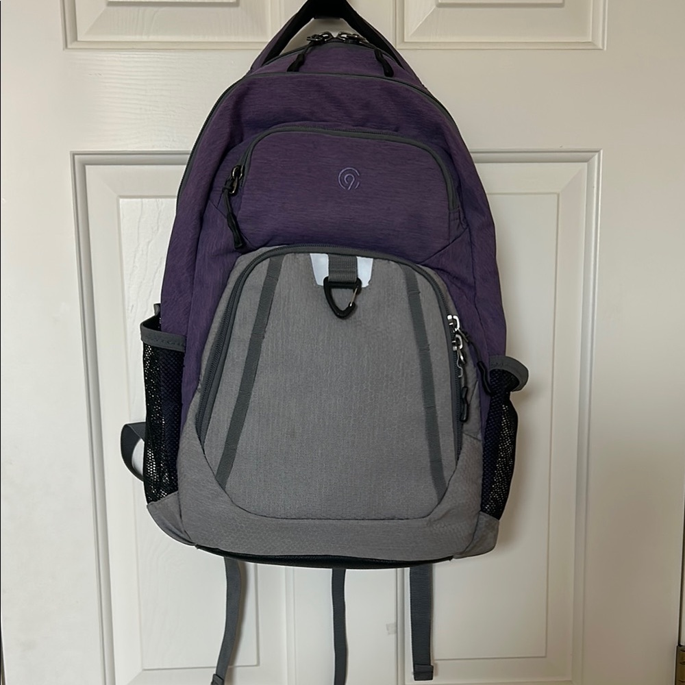 C9 Champion Purple and Gray Backpack